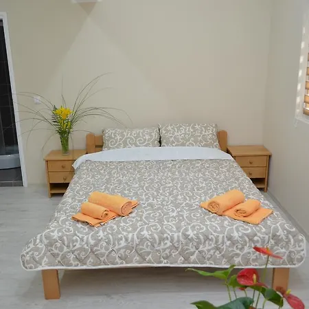 Guest house Iris 4*